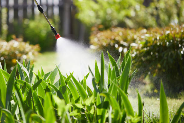 24/7 Emergency Mosquito Control experts in Durham, CA